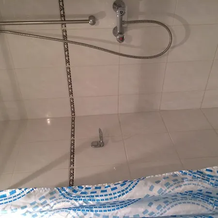 מלון De Blauwe Vogel 2*