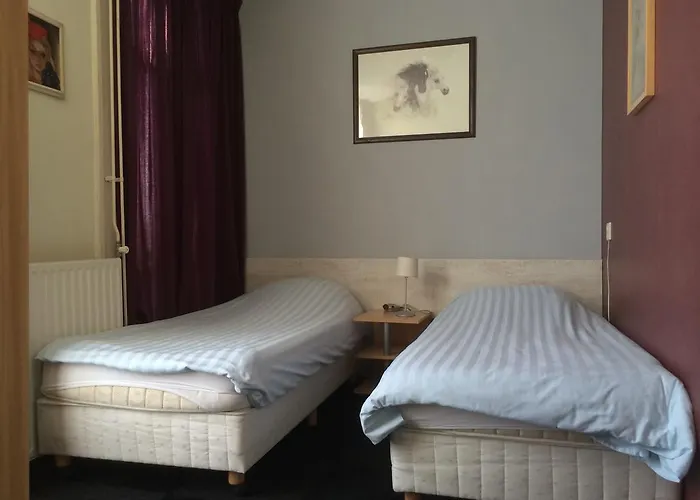 De Blauwe Vogel Hotel 2*